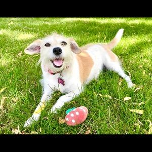 Meet your Posher, Lynn